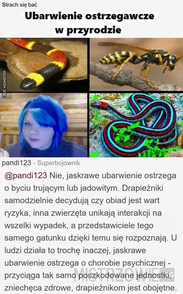 
    Strach się bać