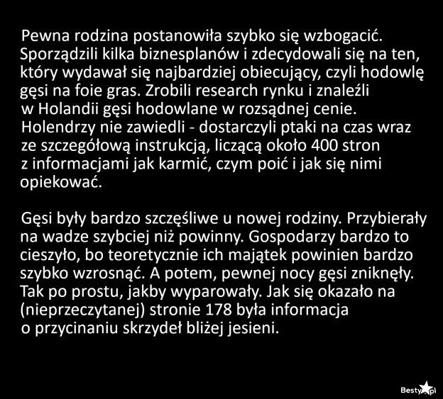 
    Hodowla gęsi 