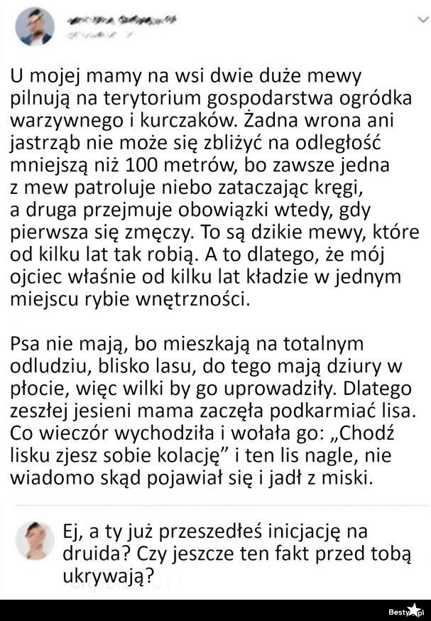 
    Zwierzątka rodziców 