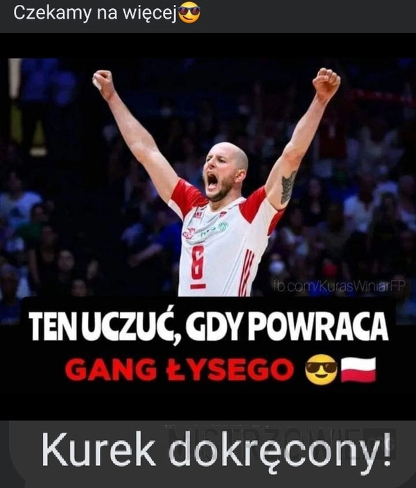 
    Gang łysego