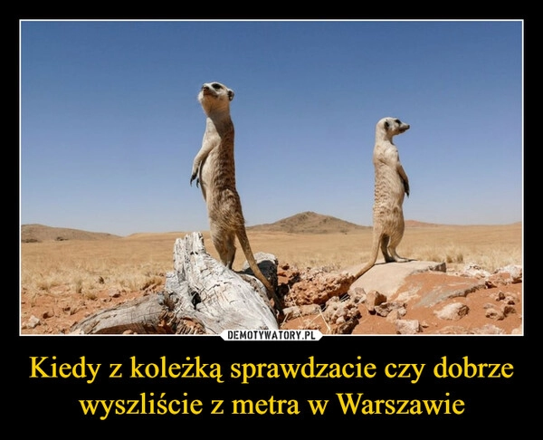 
    Kiedy z koleżką sprawdzacie czy dobrze wyszliście z metra w Warszawie