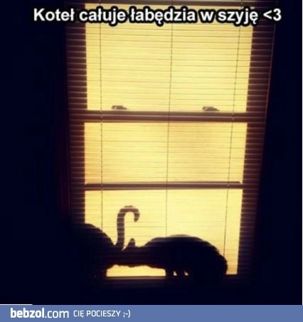 
    Jak romantycznie 