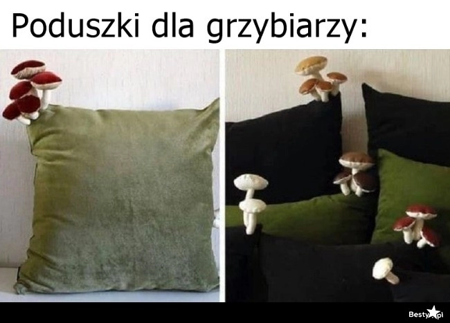 
    Kiedy naprawdę lubisz grzyby 