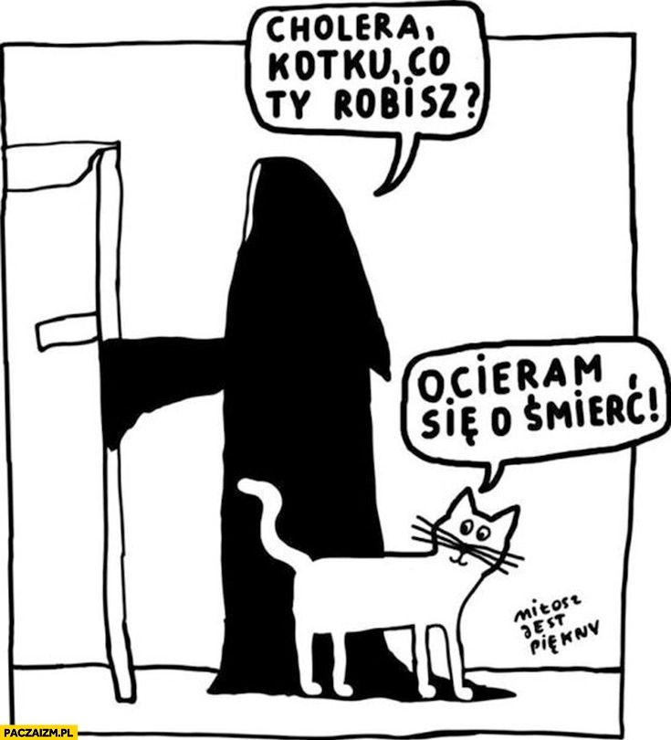 
    Śmierć z kosą cholera kotku co robisz kot ocieram się o śmierć