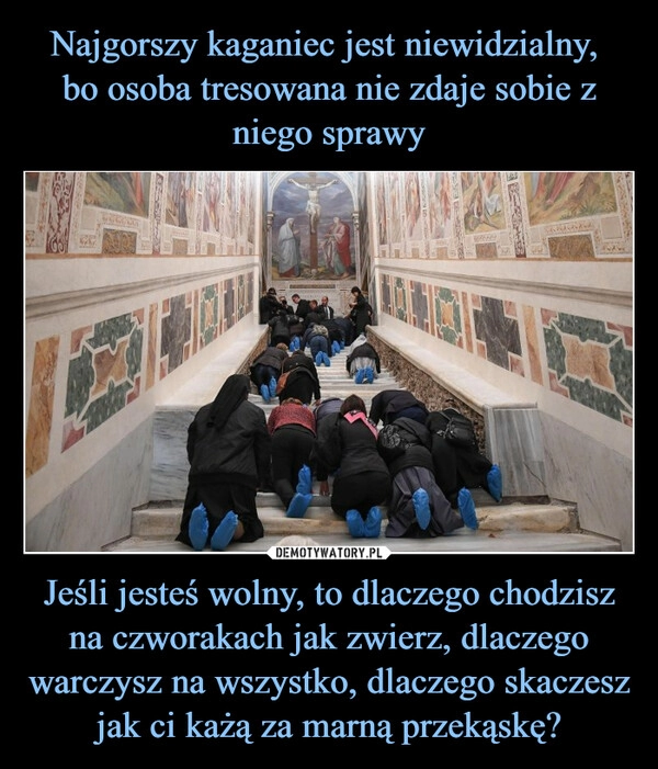 
    Najgorszy kaganiec jest niewidzialny,
bo osoba tresowana nie zdaje sobie z niego sprawy Jeśli jesteś wolny, to dlaczego chodzisz na czworakach jak zwierz, dlaczego warczysz na wszystko, dlaczego skaczesz jak ci każą za marną przekąskę? 