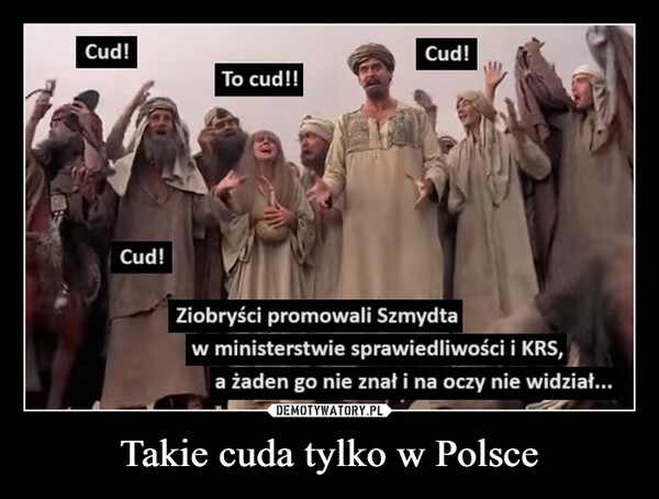 
    Takie cuda tylko w Polsce