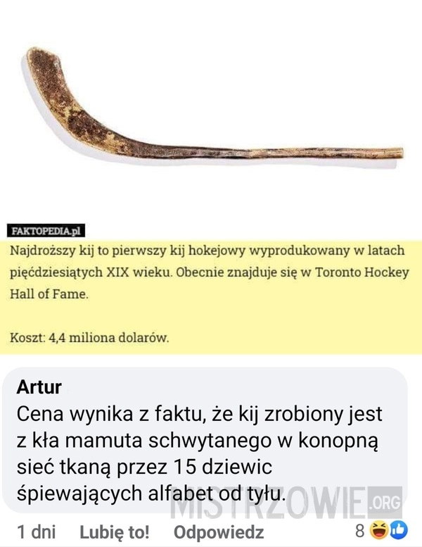 
    Kij hokejowy