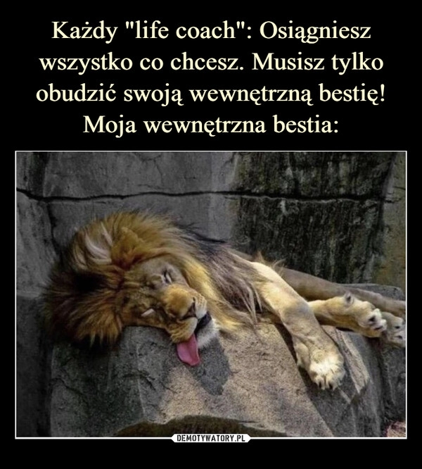 
    Każdy "life coach": Osiągniesz wszystko co chcesz. Musisz tylko obudzić swoją wewnętrzną bestię!
Moja wewnętrzna bestia: