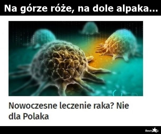 
    To nie dla ciebie, Polaczku 