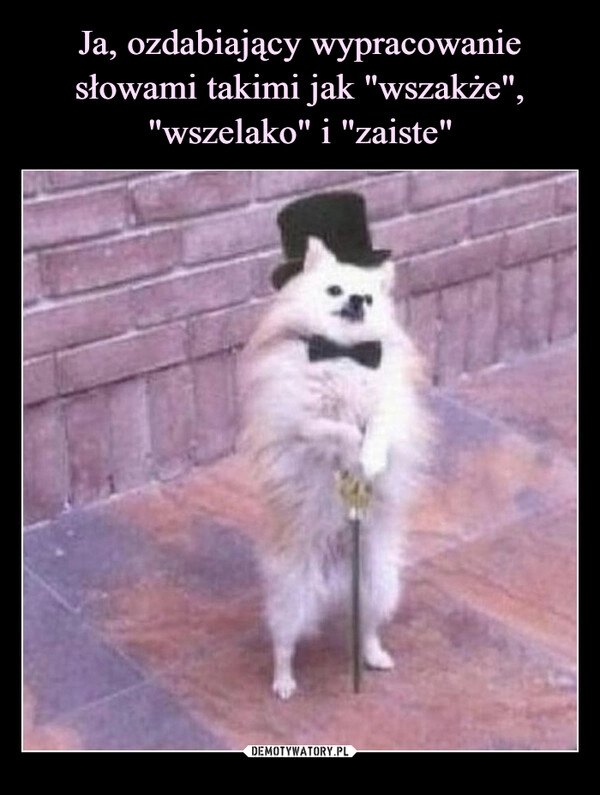 
    Ja, ozdabiający wypracowanie słowami takimi jak "wszakże", "wszelako" i "zaiste"