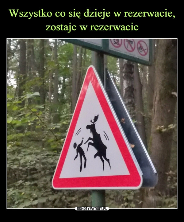 
    Wszystko co się dzieje w rezerwacie, zostaje w rezerwacie