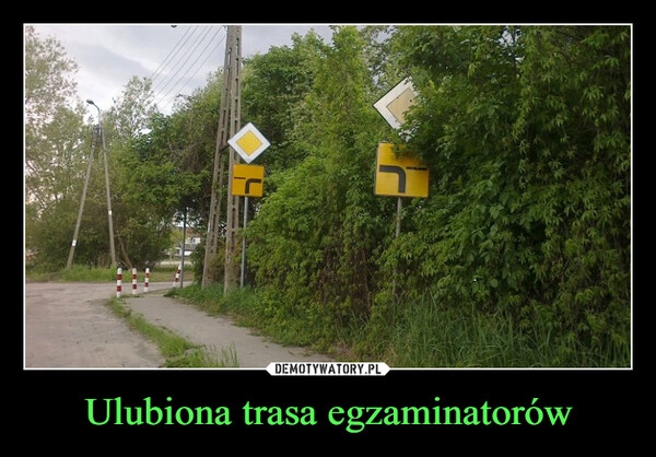 
    Ulubiona trasa egzaminatorów