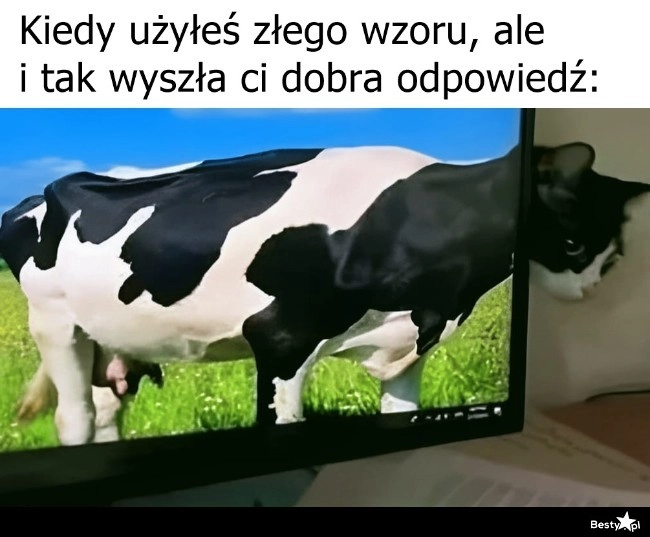 
    Zły wzór 