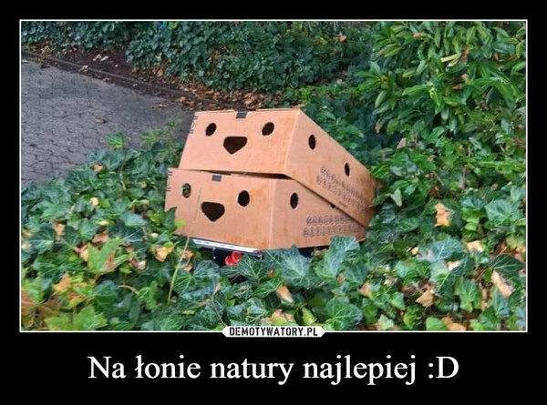 
    Na łonie natury najlepiej :D