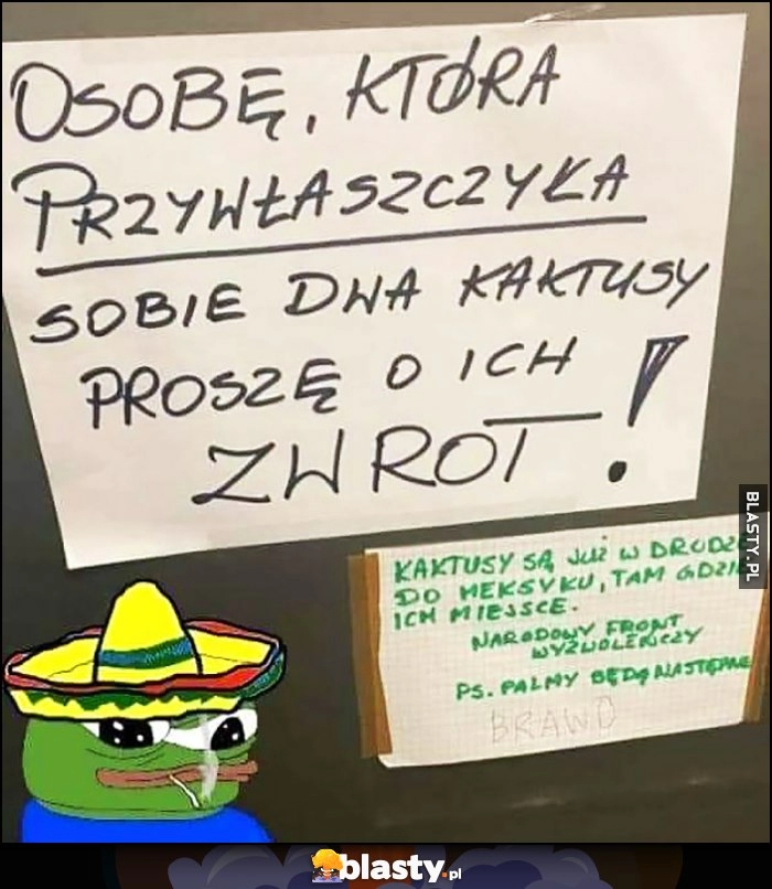 
    Osobę która przywłaszczyła sobie dwa kaktusy proszę o ich zwrot. Kaktusy są już w drodze do meksyku gdzie ich miejsce. Ps. palmy będą następne