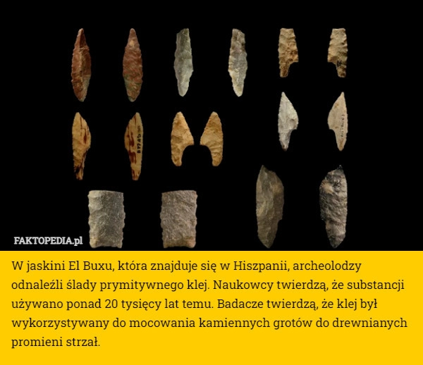 
    W jaskini El Buxu, która znajduje się w Hiszpanii, archeolodzy odnaleźli