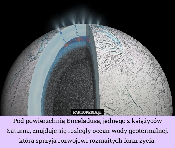 
    Pod powierzchnią Enceladusa, jednego z księżyców Saturna, znajduje się rozległy