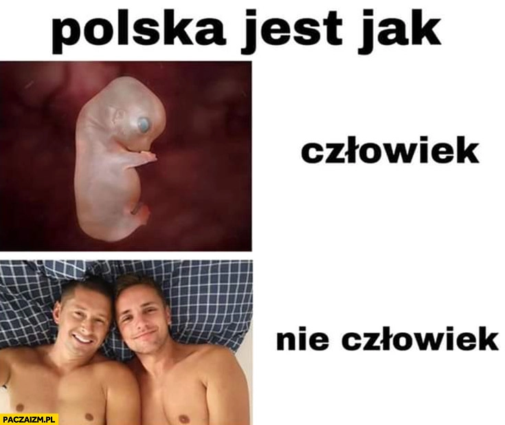 
    Polska jest taka: płód człowiek, gej nie człowiek