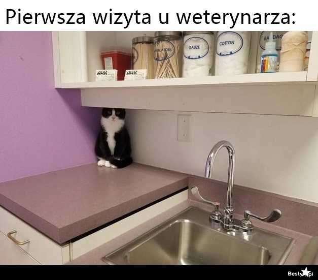 
    Pierwsza wizyta 