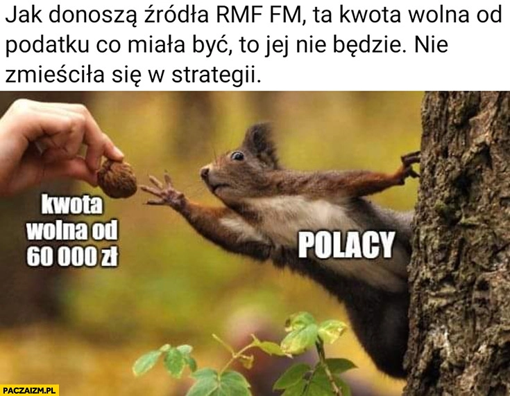 
    Kwota wolna od podatku co miała być to jej nie będzie nie zmieściła się w strategii Polacy wiewiórka