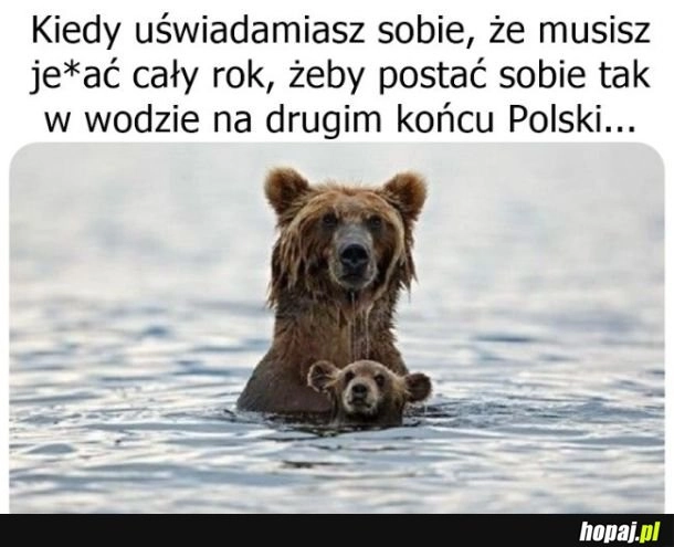Urlop