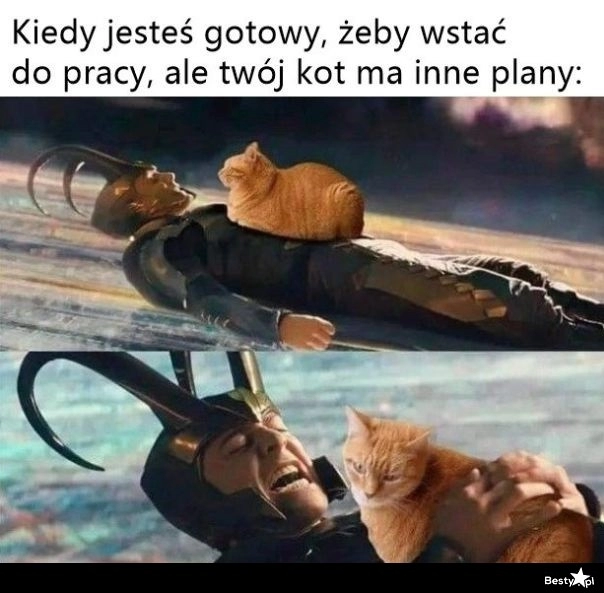 
    Nigdzie nie idziesz, głaskaj mnie 