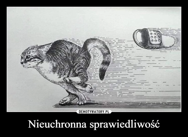 
    Nieuchronna sprawiedliwość