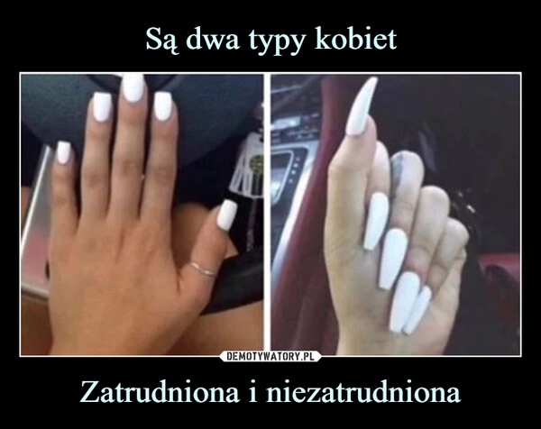 
    Są dwa typy kobiet Zatrudniona i niezatrudniona