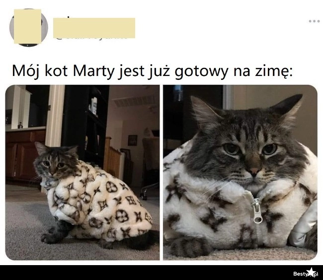 
    Gotowy na zimę 