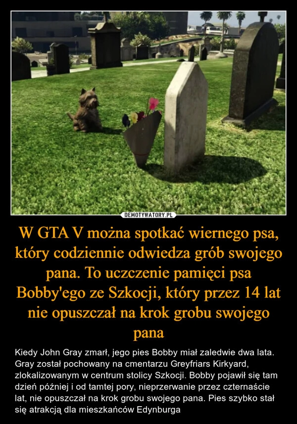 
    W GTA V można spotkać wiernego psa, który codziennie odwiedza grób swojego pana. To uczczenie pamięci psa Bobby'ego ze Szkocji, który przez 14 lat nie opuszczał na krok grobu swojego pana