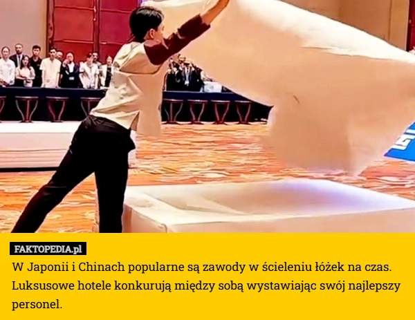 
    W Japonii i Chinach popularne są zawody w ścieleniu łóżek na czas.
Luksusowe