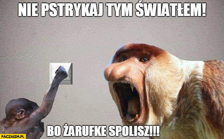 
    Nie pstrykaj tym światłem bo żarówkę spalisz typowy Polak nosacz małpa