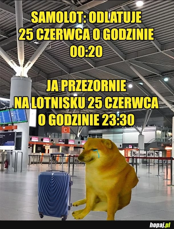 
    Dysmózgia