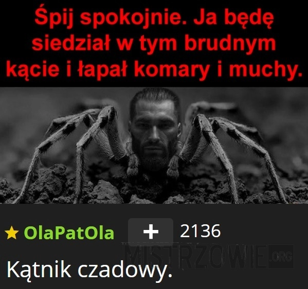 
    Pająk