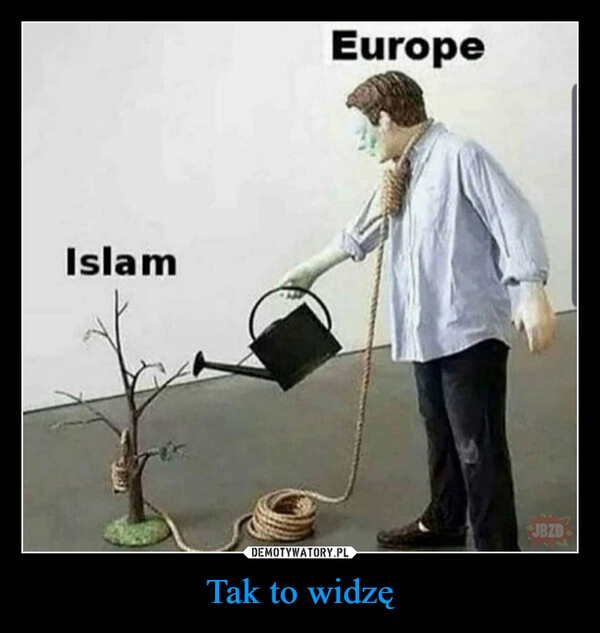 
    Tak to widzę