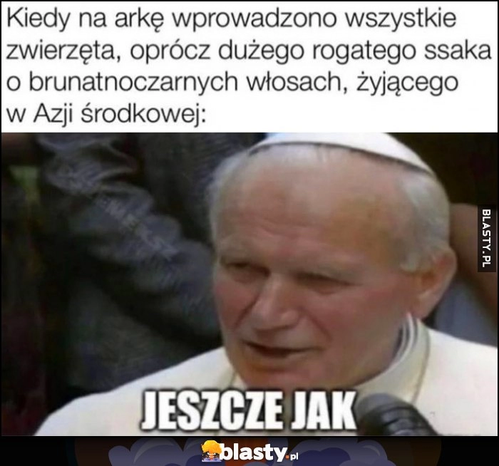 
    Kiedy na arkę wpowadzono wszystkie zwierzęta, oprócz dużego rogatego ssaka o brunatnoczarnych włosach, żyjącego w Azji Środkowej. Jan Paweł II: jeszcze jak