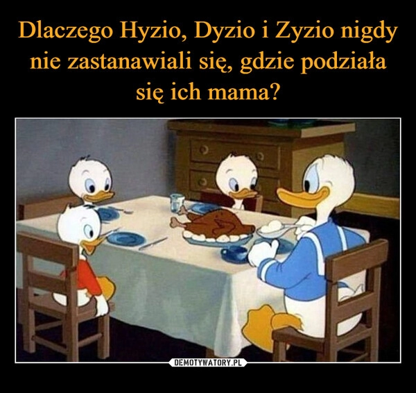 
    Dlaczego Hyzio, Dyzio i Zyzio nigdy nie zastanawiali się, gdzie podziała się ich mama?