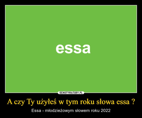 
    A czy Ty użyłeś w tym roku słowa essa ? 