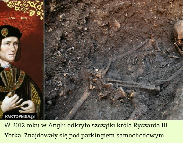 
    W 2012 roku w Anglii odkryto szczątki króla Ryszarda III Yorka. Znajdowały