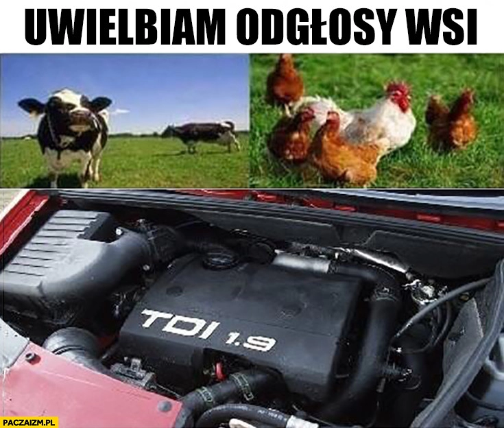 
    Uwielbiam odgłosy wsi krowy kury silnik TDI diesel