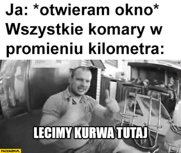 
    Ja: otwieram okno, wszystkie komary w promieniu kilometra: lecimy kurna tutaj Bonus BGC