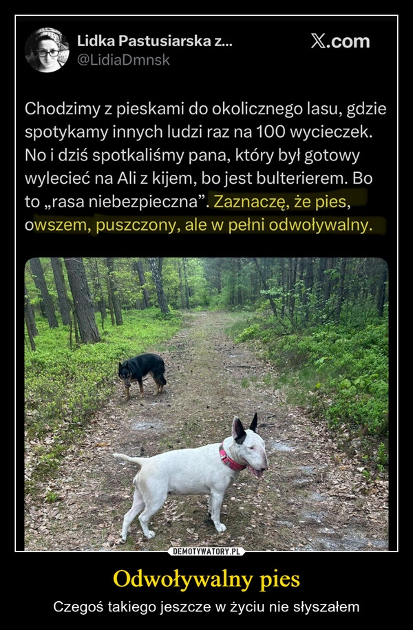 
    Odwoływalny pies