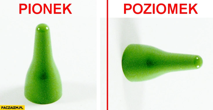 
    Pionek poziomek