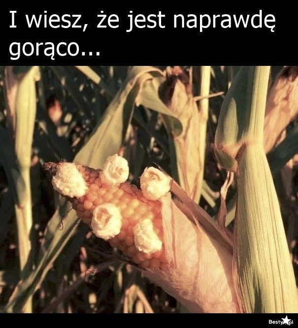 
    Upał 