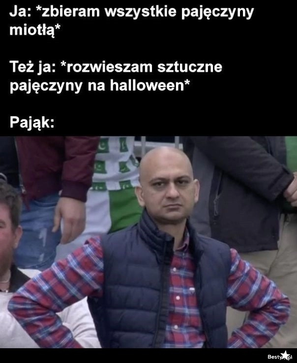 
    Pajęczyny 