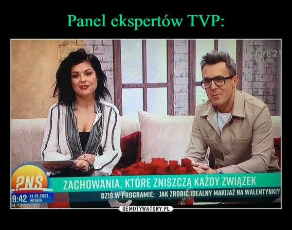 
    Panel ekspertów TVP: