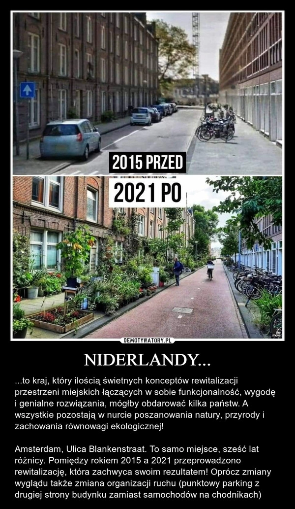 
    NIDERLANDY...