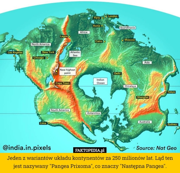 
    Jeden z wariantów układu kontynentów za 250 milionów lat. Ląd ten jest nazywany...