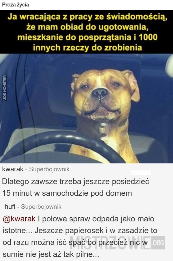 
    Proza życia