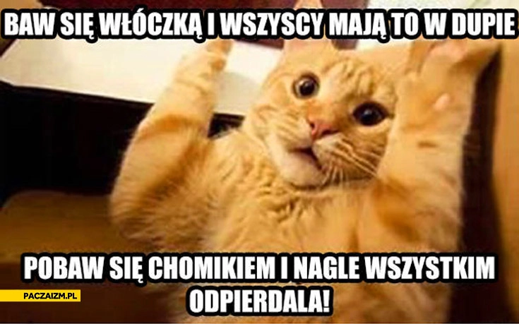 
    Baw się włóczką wszyscy mają to w dupie pobaw się chomikiem i nagle wszystkim odpierdala